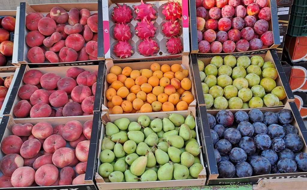 481279779 1167256121769015 7148436188693948185 n