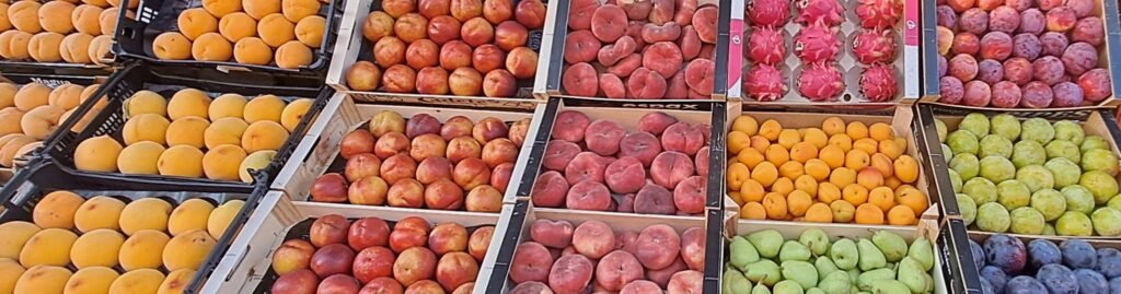 481561219 1167256451768982 7557652479470677237 n