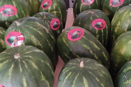 Inicio 20 303348891_607121834449116_4720416043280160892_n