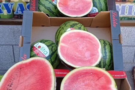 Inicio 21 474595204_1145131747314786_4750224303292265206_n