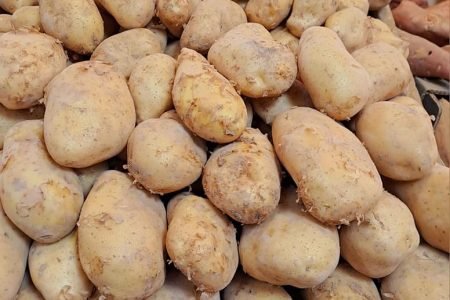 Inicio 9 480700003_1167256331768994_3437761776969187892_n