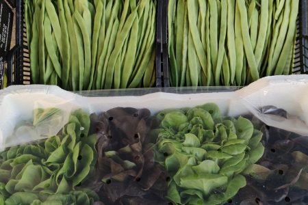 Inicio 14 480731800_1167256368435657_5493221731721457208_n