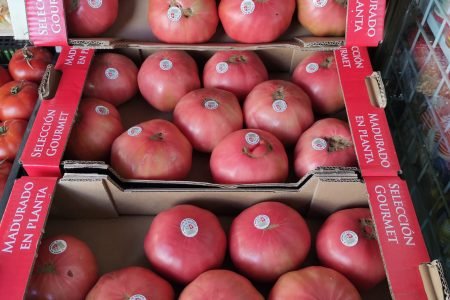 Inicio 13 480759977_1167256438435650_319888416990619172_n