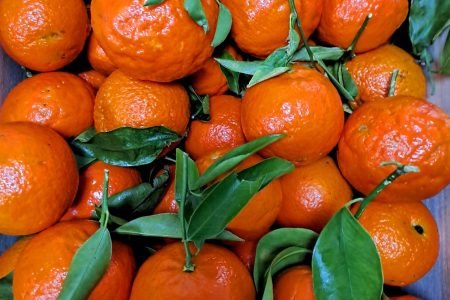 Inicio 17 480996537_1172024657958828_387170190927697939_n