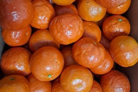 Inicio 16 481079065_1172024681292159_3765590293073732944_n