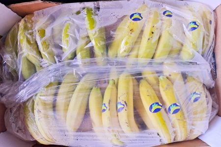 Inicio 19 481671517_1172024601292167_2751429761766492021_n