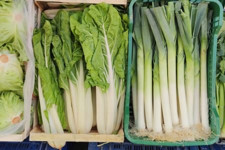 Inicio 12 481680355_1167256445102316_5047619432065315492_n